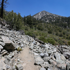 Icehouse Saddle via Chapman Trail