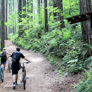 Black Rock Mountain Bike Area