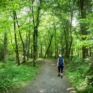 Oconaluftee River Trail + Mountain Farm Museum