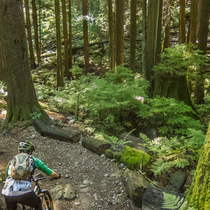 Mount Seymour Trails: Lower Mountain Loop