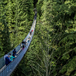Capilano Suspension Bridge Park