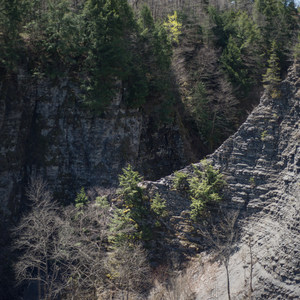 Whetstone Gulf Rim Trail