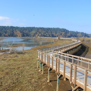 Billy Frank Jr. Nisqually National Wildlife Refuge