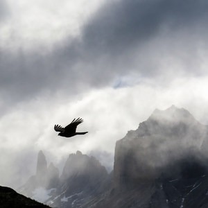 5 Reasons You Must Visit Patagonia In Person