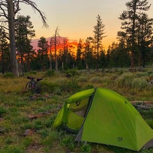 Bikepacking the Oregon Timber Trail
