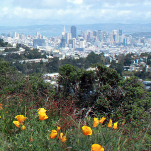 Mount Davidson