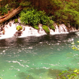 Metolius River Trail West