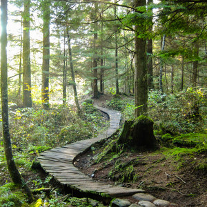 Woodlot Mountain Bike Trails: Upper Toadstool, Toadstool, Bloggy Style + Shotgun