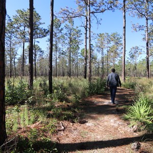 Silver Springs State Park Hiking Trails