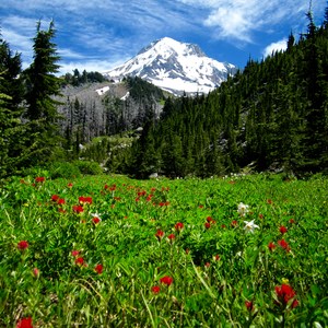 Cairn Basin + McNeil Point via the Vista Ridge Trail