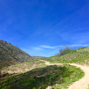 Umtanum Ridge Crest Trail