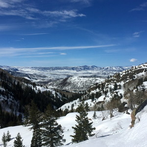 Upper Fish Creek Falls