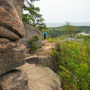 The Beehive Loop Trail