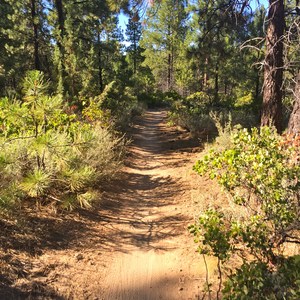 Phil's Trail Complex: Ben's Trail to Phil's Trail Loop