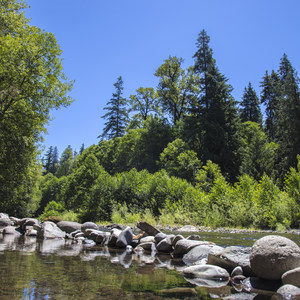 McCredie Hot Springs