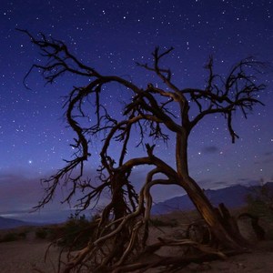 Mesquite Flat Sand Dunes
