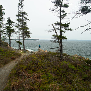 Ocean Path