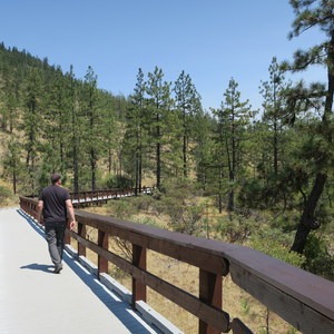 Eight Dollar Mountain Interpretive Boardwalk
