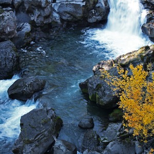 Prospect State Scenic Viewpoint