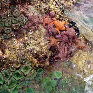 Hug Point State Recreation Site