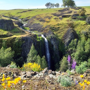 Fern Falls + Coal Canyon Falls
