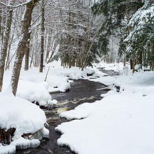 Whetstone Gulf Gorge Trail