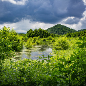 Seven Islands State Birding Park