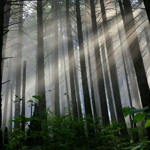 Hiking Through the Years: 30+ Years in the Columbia River Gorge