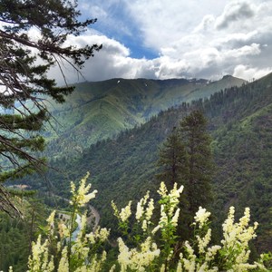 Chambers Creek Falls