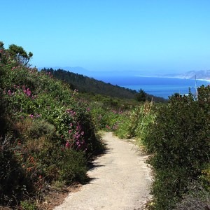 Old Pedro Mountain Road