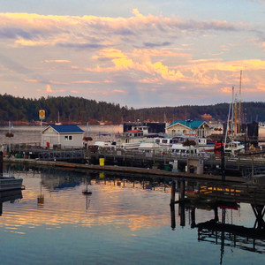 San Juan Island: Friday Harbor Sea Kayaking