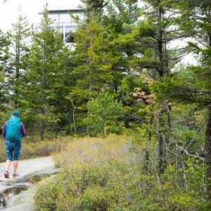Beech Mountain Fire Tower