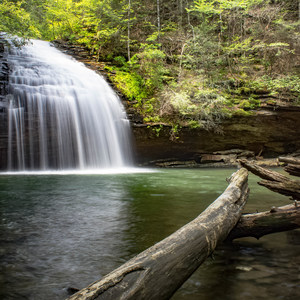Stinging Fork Falls