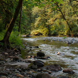 Trout Creek Campground