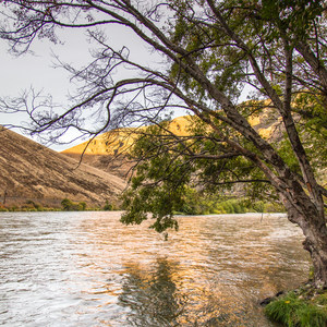 Beavertail Recreation Site + Campground