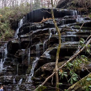 Yellow Branch Falls