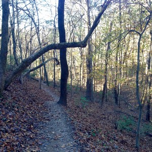 Mossy Ridge Trail, Warner Parks