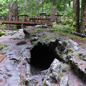 Trail of Two Forests