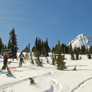 Cooper Spur Shelter via Tilly Jane Trail