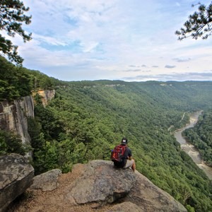 Ecotherapy: Exploring People's Connections with Nature