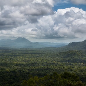 Cockscomb Basin Wildlife Sanctuary + Jaguar Preserve