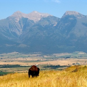 National Bison Range