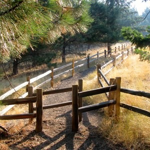 Mount Jumbo via the Tivoli Trail