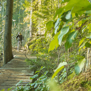 Diamond Head: Legacy, Recycle, and Psuedo Tsuga