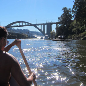 Willamette River: Jon Storm Park to George Rogers City Park