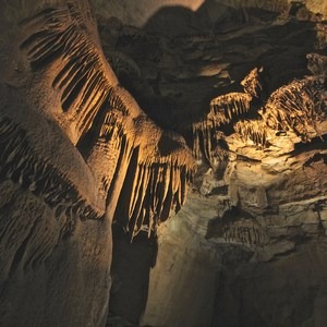Mammoth Cave National Park