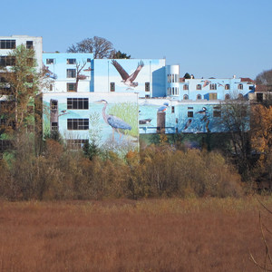 Oaks Bottom Wildlife Refuge