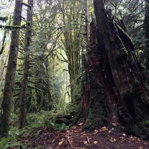 Moments in Time Interpretive Trail