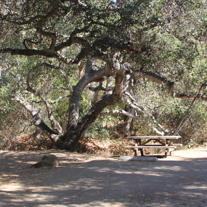 El Capitan State Beach Campground