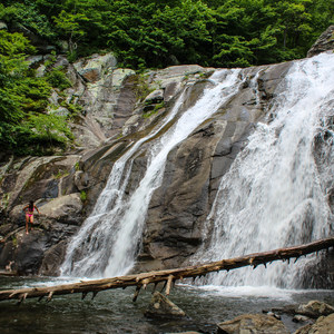 Whiteoak Canyon + Cedar Run Circuit